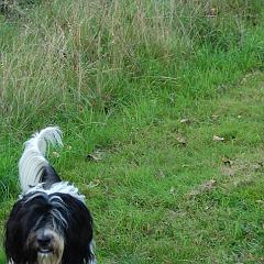 dsc_4276 * 1600 x 1063 * (1.47MB)