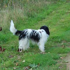 dsc_4277 * 1600 x 1063 * (1.38MB)