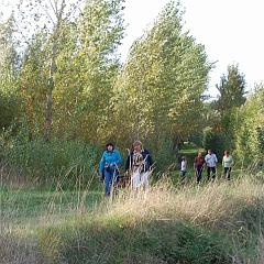 dsc_4291 * 1600 x 1063 * (1.35MB)