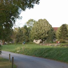 dsc_4312 * 1600 x 1063 * (1.09MB)