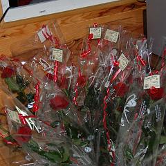 dsc_4341 * 1600 x 1063 * (1.2MB)