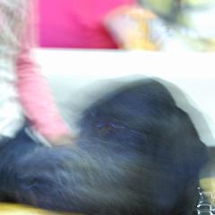 dsc_4356 * 1063 x 1600 * (825KB)