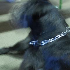 dsc_4358 * 1600 x 1063 * (905KB)