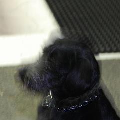 dsc_4386 * 1600 x 1063 * (868KB)