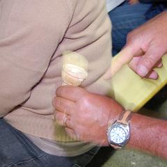 dsc_4390 * 1600 x 1063 * (1006KB)