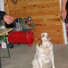 dsc_4457 * 1600 x 1063 * (911KB)