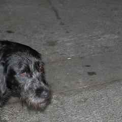 DSC_6451 * 3008 x 2000 * (2.67MB)